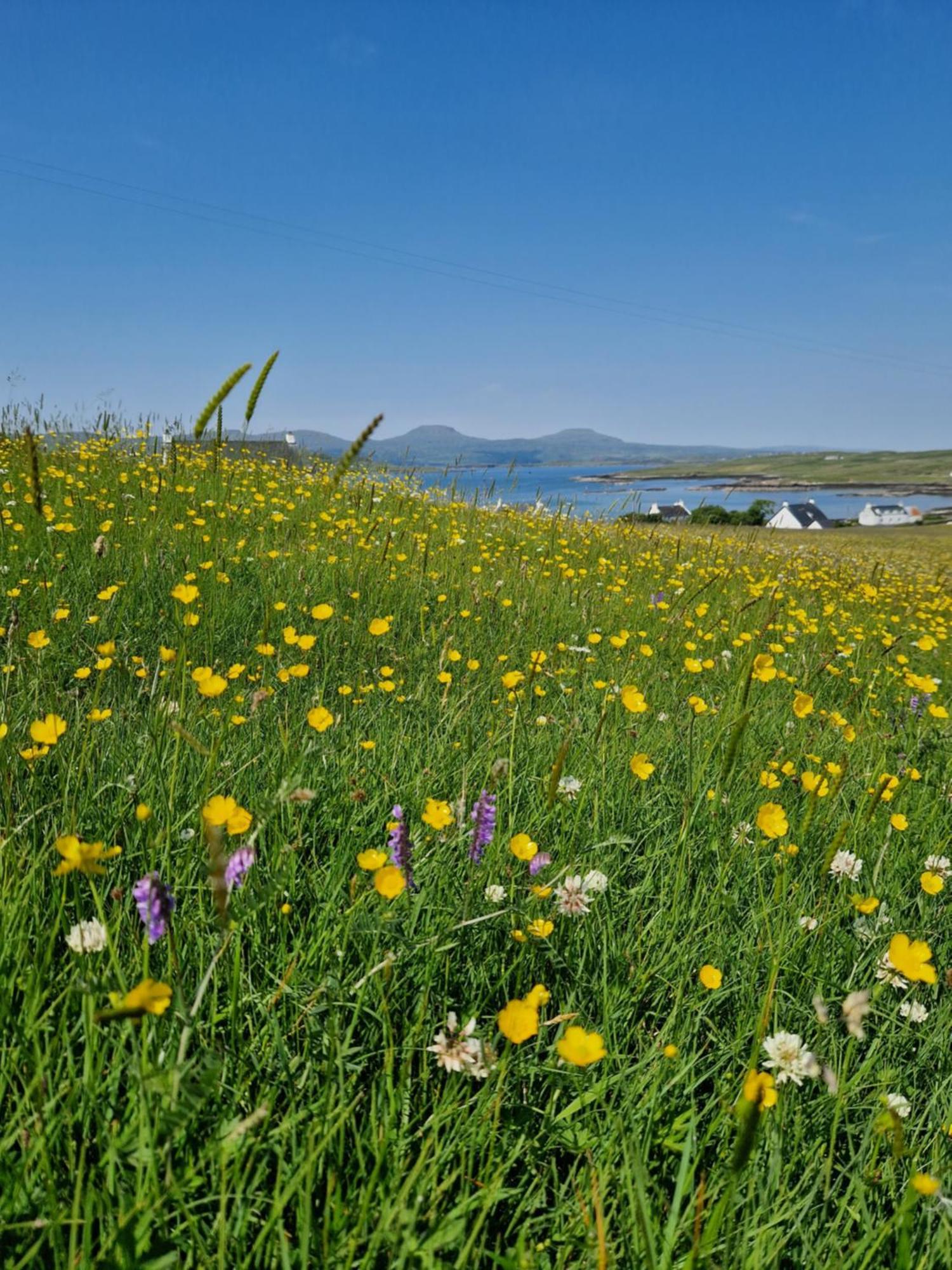 Ornum Self Catering *